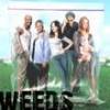 Weeds Avatars 