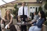 Weeds Saison 1 
