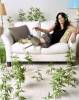 Weeds Saison 1 