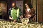 Weeds Saison 2 