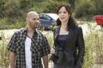 Weeds Saison 4 